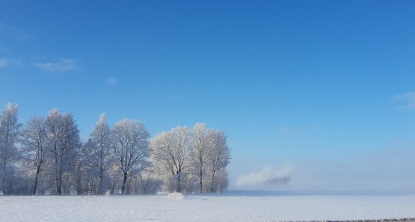 Priecīgus svētkus!